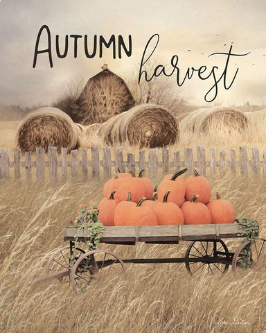 Autumn Harvest       White Modern Wood Framed Art Print with Double Matting by Deiter, Lori