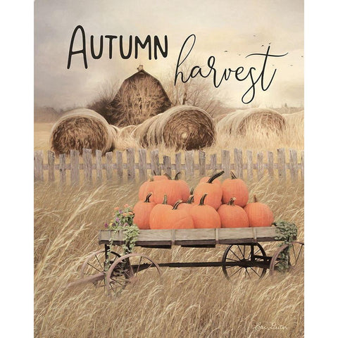 Autumn Harvest       Black Modern Wood Framed Art Print with Double Matting by Deiter, Lori