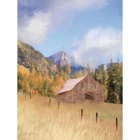 San Juan Hunting Cabin Black Modern Wood Framed Art Print with Double Matting by Deiter, Lori