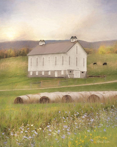 Uphill Farm White Modern Wood Framed Art Print with Double Matting by Deiter, Lori