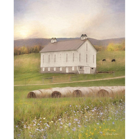 Uphill Farm White Modern Wood Framed Art Print by Deiter, Lori