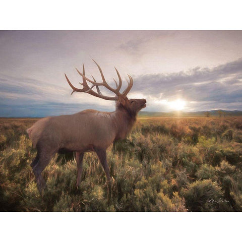 Jackson Sunrise with Elk     Black Modern Wood Framed Art Print with Double Matting by Deiter, Lori