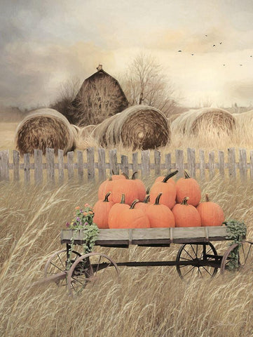 Pumpkin Harvest Black Ornate Wood Framed Art Print with Double Matting by Deiter, Lori