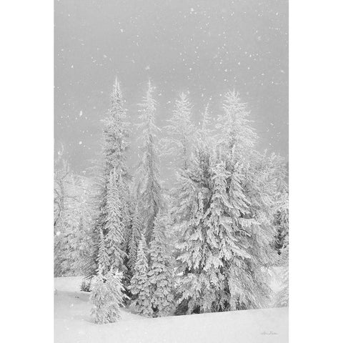 Snowy Lava Mountain   White Modern Wood Framed Art Print by Deiter, Lori