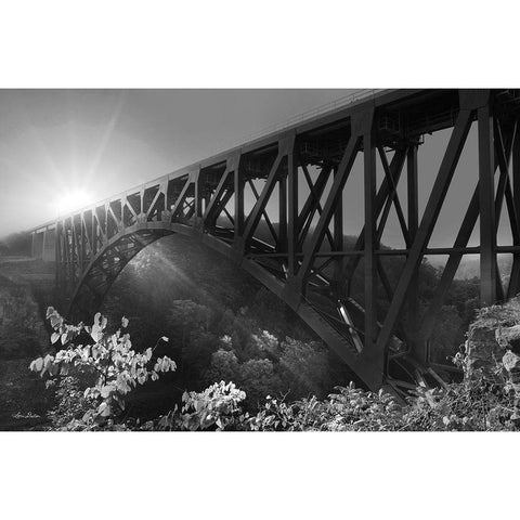 Sunrise at Letchworth Black and White White Modern Wood Framed Art Print by Deiter, Lori