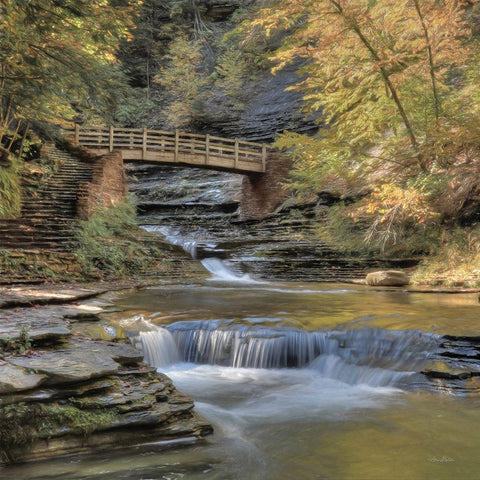 Autumn at Stony Brook   White Modern Wood Framed Art Print with Double Matting by Deiter, Lori