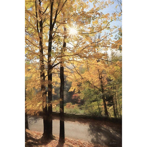 Autumn Light at Letchworth   Black Modern Wood Framed Art Print with Double Matting by Deiter, Lori