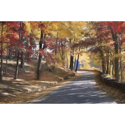 Autumn at Letchworth    Black Modern Wood Framed Art Print with Double Matting by Deiter, Lori