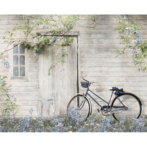 Blue Bike at Barn      White Modern Wood Framed Art Print by Deiter, Lori