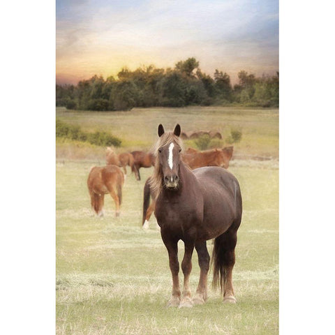 Jackson Horse Farm Gold Ornate Wood Framed Art Print with Double Matting by Deiter, Lori