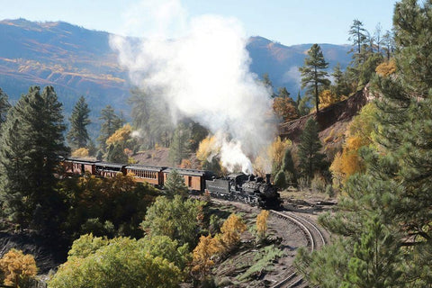 Durango Silverton Train IV Black Ornate Wood Framed Art Print with Double Matting by Deiter, Lori