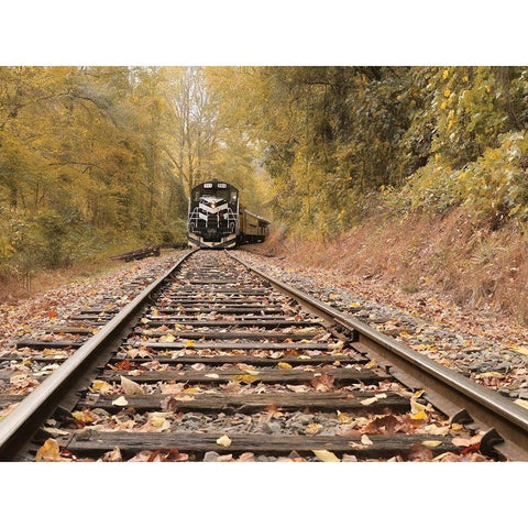 Great Smoky Mountains Railroad Gold Ornate Wood Framed Art Print with Double Matting by Deiter, Lori