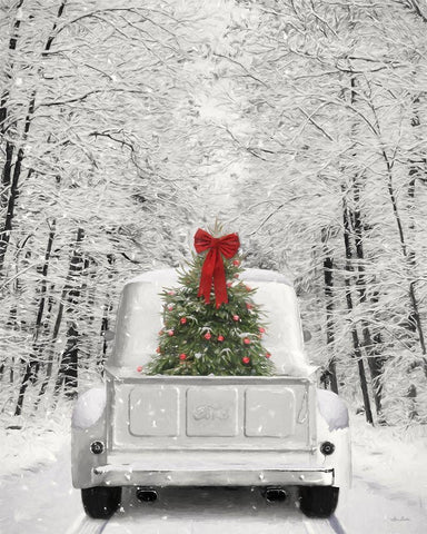 Snowy Drive in a White Ford Black Ornate Wood Framed Art Print with Double Matting by Deiter, Lori