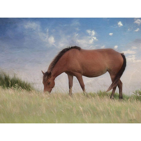 Assataegue Horse Black Modern Wood Framed Art Print with Double Matting by Deiter, Lori