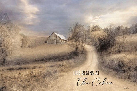 Life Begins at the Cabin Black Ornate Wood Framed Art Print with Double Matting by Deiter, Lori