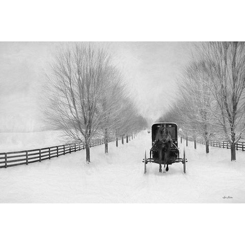 Snowy Amish Lane Black Modern Wood Framed Art Print with Double Matting by Deiter, Lori