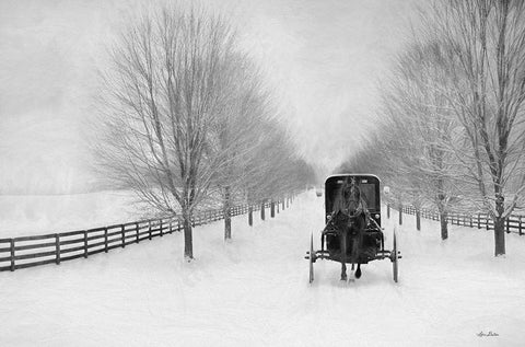 Snowy Amish Lane White Modern Wood Framed Art Print with Double Matting by Deiter, Lori