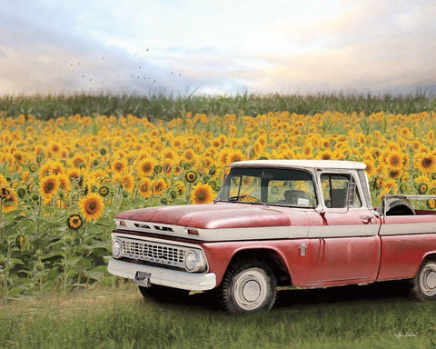 Truck with Sunflowers White Modern Wood Framed Art Print with Double Matting by Deiter, Lori