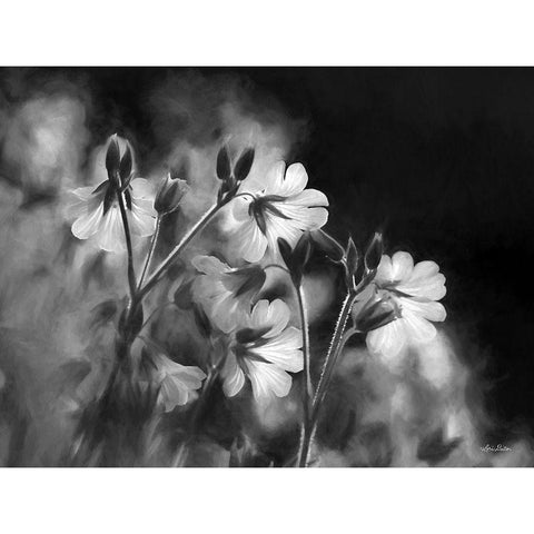 Black and White Flowers Black Modern Wood Framed Art Print with Double Matting by Deiter, Lori