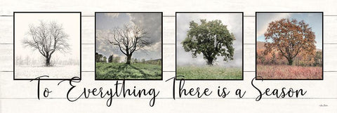 To Everything There is a Season   White Modern Wood Framed Art Print with Double Matting by Deiter, Lori