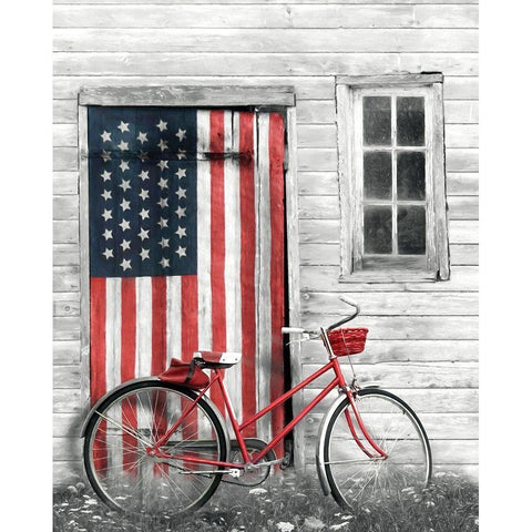 Patriotic Bicycle Gold Ornate Wood Framed Art Print with Double Matting by Deiter, Lori