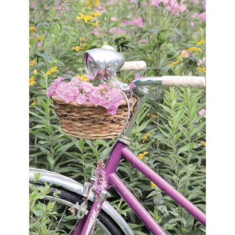 Pink Garden Bike White Modern Wood Framed Art Print by Deiter, Lori