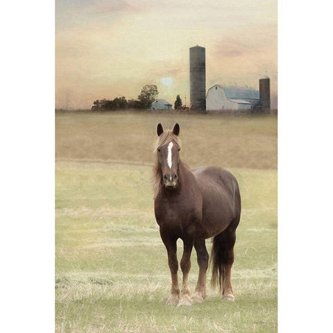 Jackson Horse Black Modern Wood Framed Art Print with Double Matting by Deiter, Lori