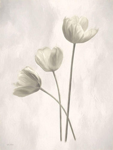 Bleached Tulips I White Modern Wood Framed Art Print with Double Matting by Deiter, Lori