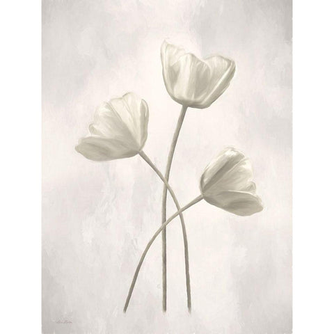 Bleached Tulips II White Modern Wood Framed Art Print by Deiter, Lori