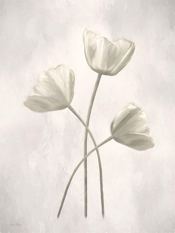 Bleached Tulips II White Modern Wood Framed Art Print with Double Matting by Deiter, Lori