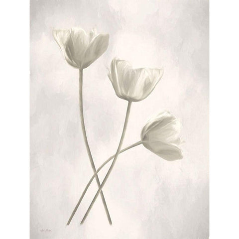 Bleached Tulips III White Modern Wood Framed Art Print by Deiter, Lori