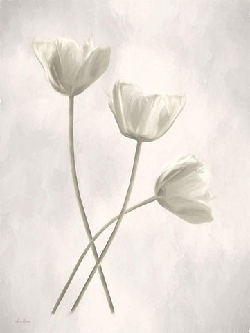 Bleached Tulips III White Modern Wood Framed Art Print with Double Matting by Deiter, Lori