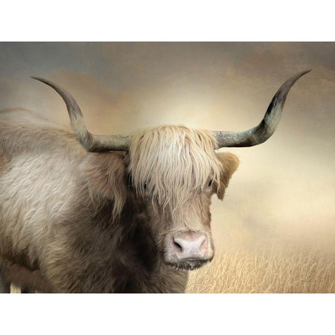 Highland Cow in Golden Grass White Modern Wood Framed Art Print by Deiter, Lori