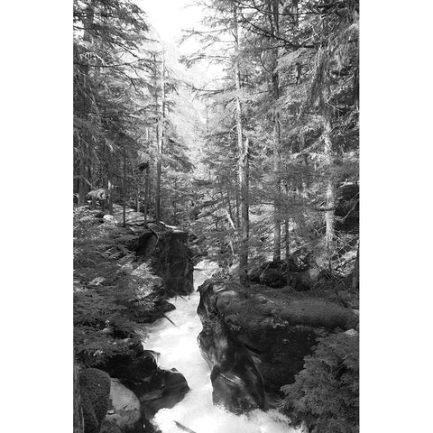 Avalanche Trail   Gold Ornate Wood Framed Art Print with Double Matting by Deiter, Lori