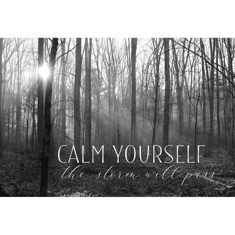 Calm Yourself White Modern Wood Framed Art Print by Deiter, Lori