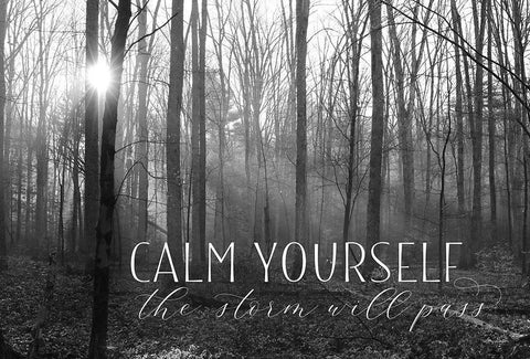 Calm Yourself Black Ornate Wood Framed Art Print with Double Matting by Deiter, Lori