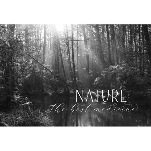 Nature - The Best Medicine Black Modern Wood Framed Art Print with Double Matting by Deiter, Lori