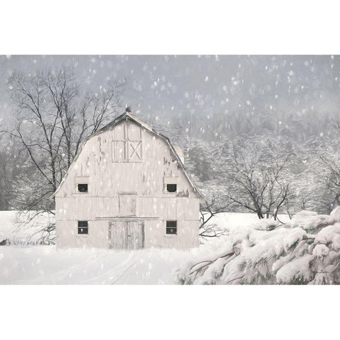 Old Delaware Farm White Modern Wood Framed Art Print by Deiter, Lori