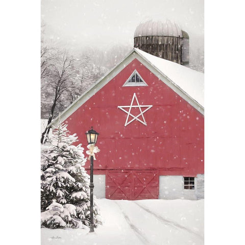 Red Star Barn Black Modern Wood Framed Art Print with Double Matting by Deiter, Lori