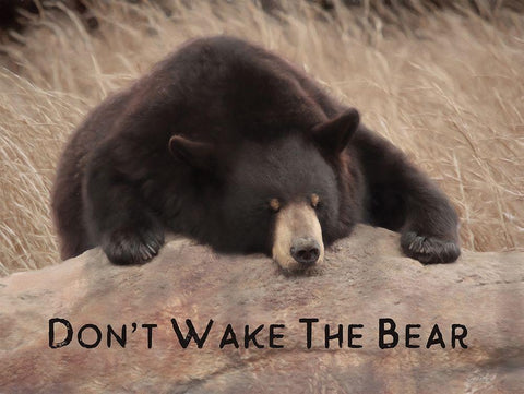 Dont Wake the Bear Black Ornate Wood Framed Art Print with Double Matting by Deiter, Lori