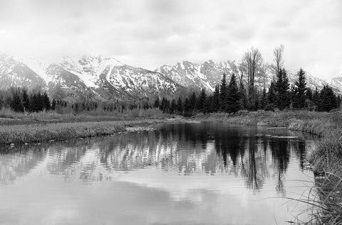 Tetons at Schwabachers Landing   White Modern Wood Framed Art Print with Double Matting by Deiter, Lori