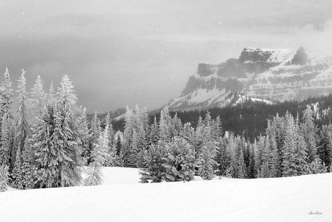 Snowy Lava Mountain   Black Ornate Wood Framed Art Print with Double Matting by Deiter, Lori