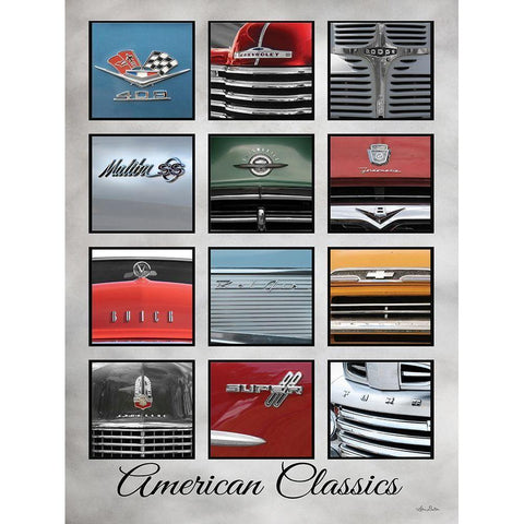 American Classics White Modern Wood Framed Art Print by Deiter, Lori