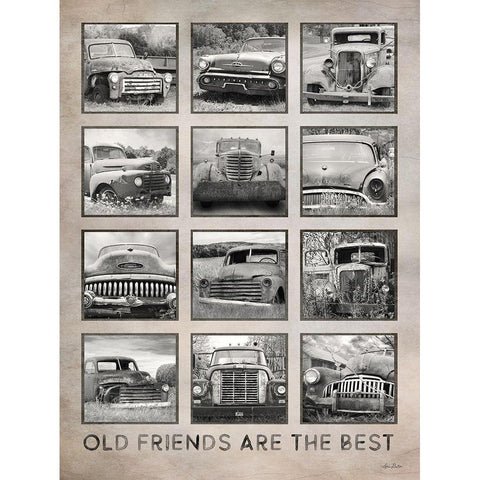 Old Friends Are the Best White Modern Wood Framed Art Print by Deiter, Lori