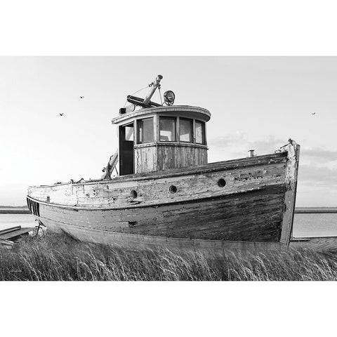 This Old Boat I Gold Ornate Wood Framed Art Print with Double Matting by Deiter, Lori