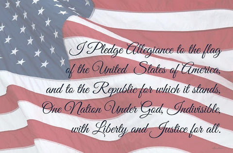 I Pledge Allegiance I White Modern Wood Framed Art Print with Double Matting by Deiter, Lori