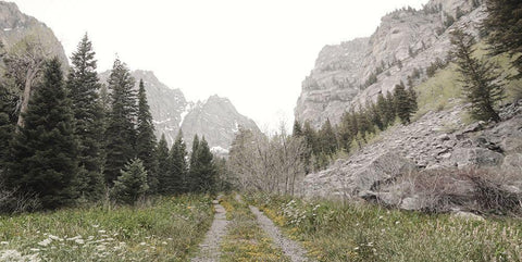 Road to Tetons Black Ornate Wood Framed Art Print with Double Matting by Deiter, Lori