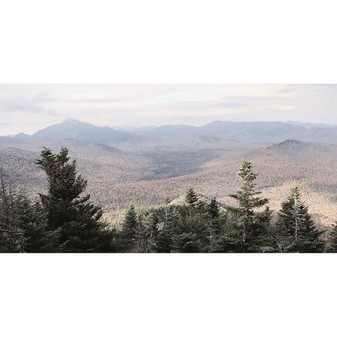 Adirondack Mountains 1 White Modern Wood Framed Art Print by Deiter, Lori