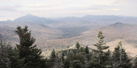 Adirondack Mountains 1 Black Ornate Wood Framed Art Print with Double Matting by Deiter, Lori