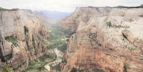 Zion National Park Black Ornate Wood Framed Art Print with Double Matting by Deiter, Lori